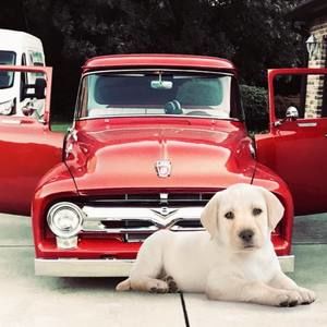 Meet your Posher, Angelo